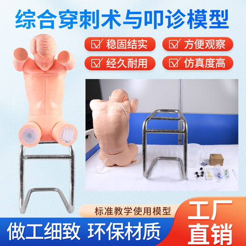 蓝蝶模型胸腔腰椎穿刺教具