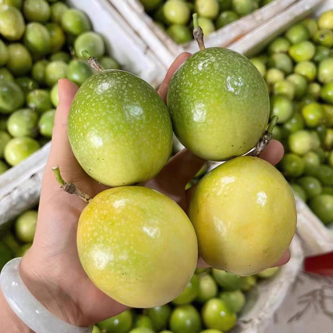 当季新鲜黄金大果特甜海南百香果