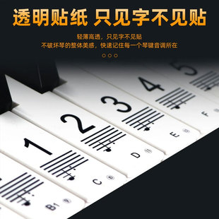纳米不留胶88键61键54键钢琴电子琴键盘透明贴纸五线谱音阶简谱贴