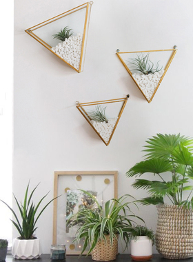 青苔花园 北欧风简约花器黑色金色几何形壁挂式玻璃花房 家居装饰