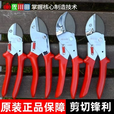 佐川田粗枝剪果树剪花枝剪葡萄剪刀修枝剪园林家用树枝剪园艺工具