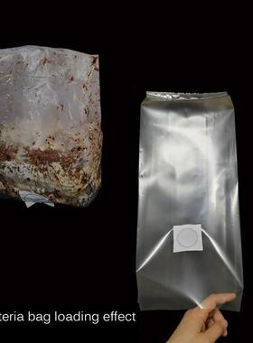 Root Mushroom Farm Mushroom Growing Bags Micron Filter Polyp