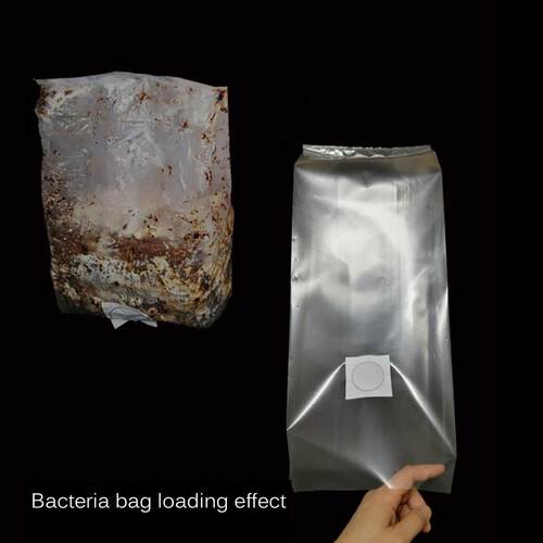 Root Mushroom Farm Mushroom Growing Bags Micron Filter Polyp