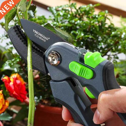 Plant trim horticulture Hand pruner cut secateur Shrub Garde