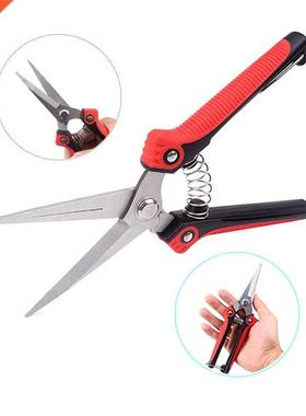 Pointed Orchard Picking Fruit Shears Picking Fruit Grape Pru
