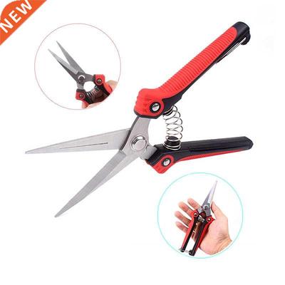 Pointed Orchard Picking Fruit Shears Picking Fruit Grape Pru