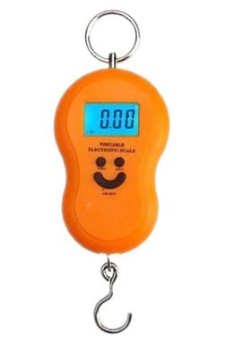 Hanging Scale 50Kg / 10g BackLight Luggage Fishing Weight Kg