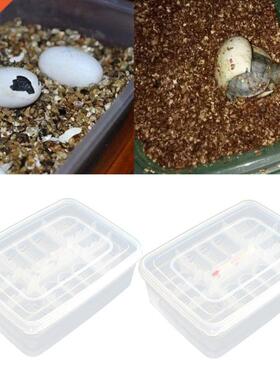 Reptile Egg Tray Snake Lizd Egg Hatching Incubator Box Gec