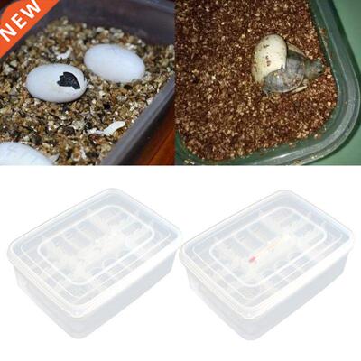 Reptile Egg Tray Snake Lizd Egg Hatching Incubator Box Gec