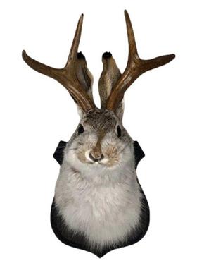 Devil Rabbit Wall Decor The Latest Legend Of Antlers Creativ