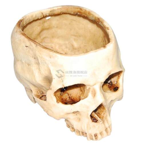 Resin Skull Model Flower Pot Shining Fruit Plate Storage Con