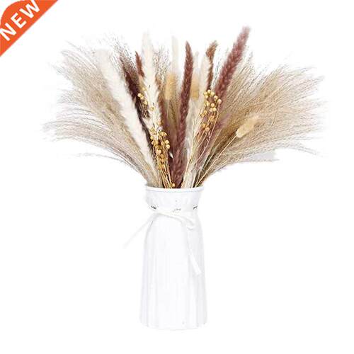 Pappas Grass Plums,Fluffy Pappas Grass Plant Branches,Tusk A
