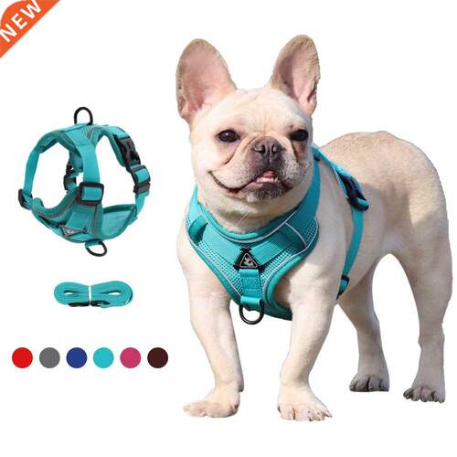 Dog Hrness with 1.5m Trction Lesh Set No Pull Dog Vest St