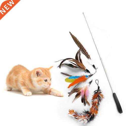 6 Pcs/set Retractable Funny Cat Stick Pet Supplies  Repla