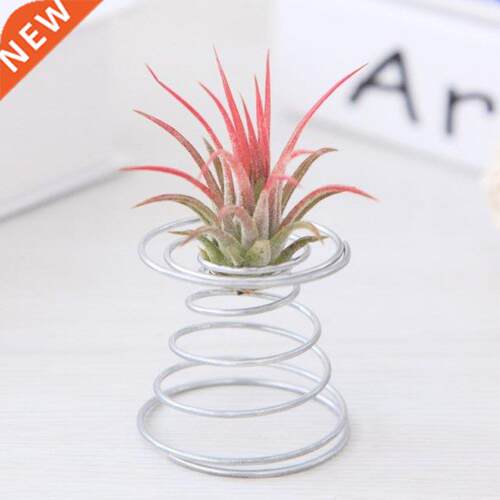 Air Plant Spring Wire Tabletop Tillandsia Holder Miniature G