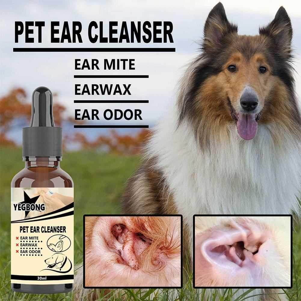 New Cat And Dog Ear Cleaner Pet Ear Drops For Infections Con