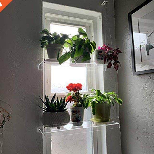 Premium Transpaent Acrylic Window Plant Shelves 2/ Layers C