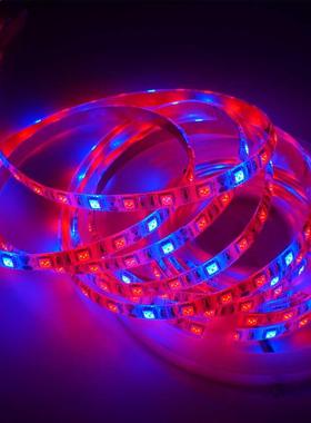 5m/rolls DC12V 5050 Chip 300leds Led Strip for Plants Grow l