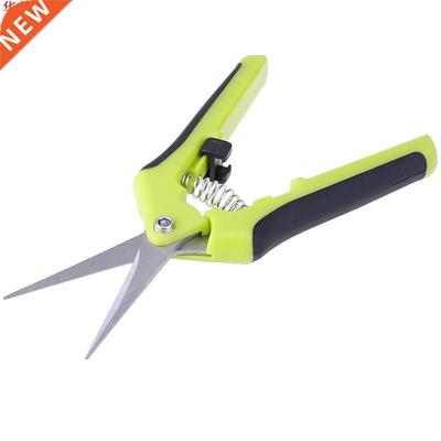 Petit acier inoxydable jardin sécateur ciseaux de cue