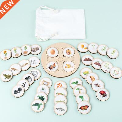 Life Boa Montessori Kit Biology Science Education To