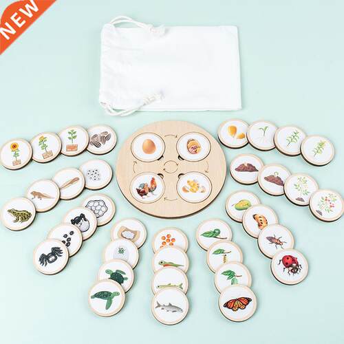Life Boa Montessori Kit Biology Science Education To