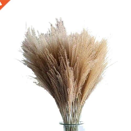 100 Pcs Dried Pampas Grass Decor,Raw Color,17.7Inch Tall Pla