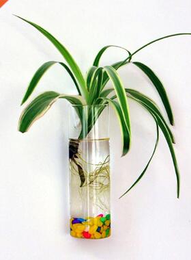 2018 Wall Hanging Glass Flower Planter Vase Plant Pot Terrar