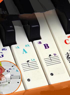 49/54/61/88 color Transparent Piano Keyboard Stickers Electr