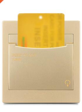 AC 100-250V 40A Hotel Insert Card Power Switch With Delay Po