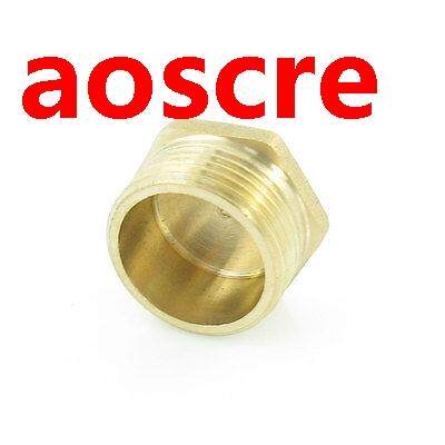 Brass Internal Hex Head Socket 1/4PT 1/8PT 1/2PT /8PT Threa