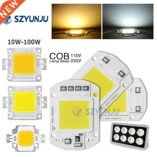 10W 20W 30W 50W 100W LED COB Lamp Chip High Power LED Diode