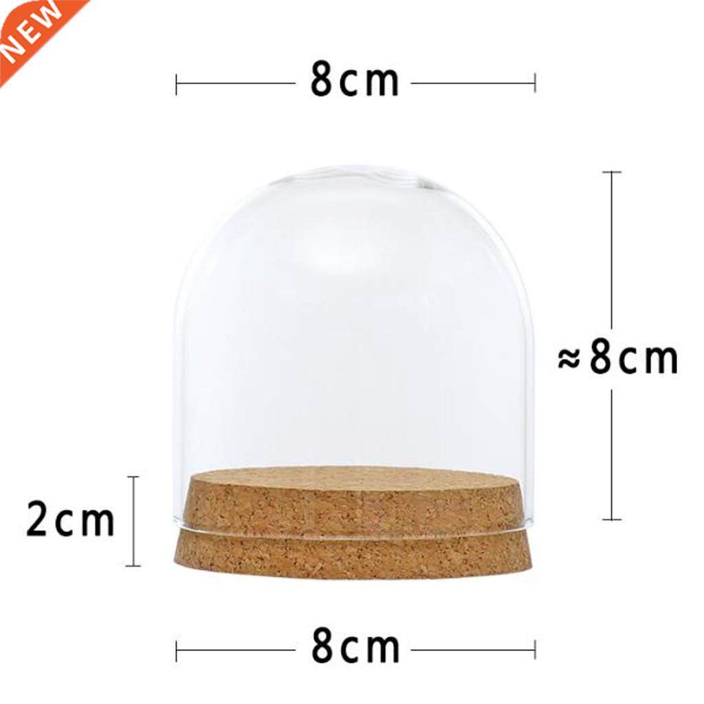 *Clear Glass Display Dome Cover Cloche Bell Jar Succulent Te