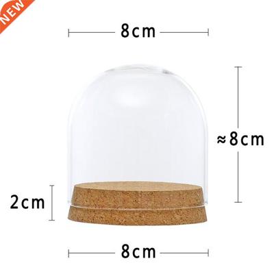 *Clear Glass Display Dome Cover Cloche Bell Jar Succulent Te