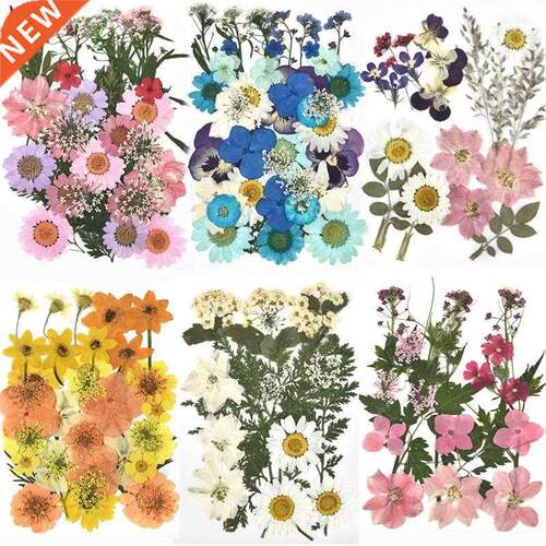 1 Pack Dried Flowers UV Resin Flower Stickers Dry Beauty Dec