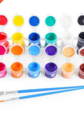 crylic Pints With 2 Brushs DIY Grffiti Pigment Set For Oi