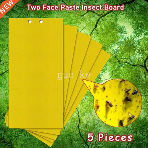 5pcs Two Face Pae Insect Board Double-sided Bug Fly icke