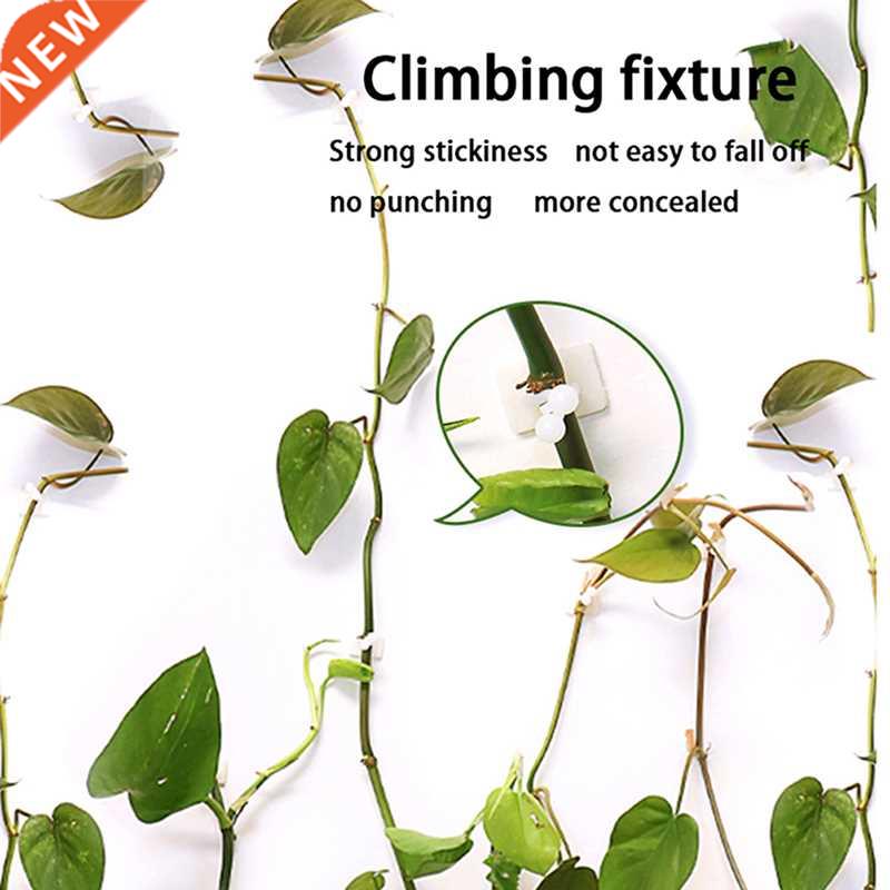 20/50pcs Invisible Wall Rattan Clamp Clip Invisible Wall Vin