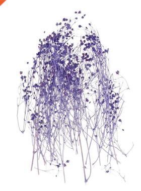 1 Box Filling Flower Dry Handmade Flowers  Epoxy Resin Fi