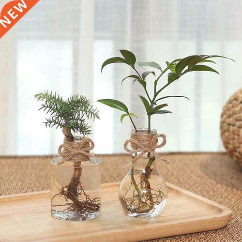 New DIY Clear Glass Hyacinth Vase Transparent Flower Plant B