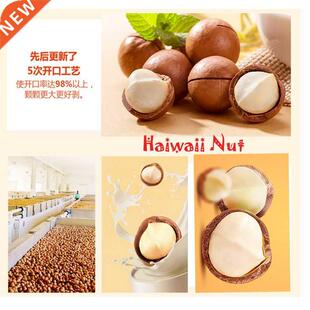Quality Macamia nut Hawaii Nut Queensland Food in Bulk Wei
