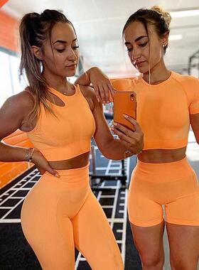 Seamless Sport Set Women Long 2pcs Two Piece Crop Top Bra Sh