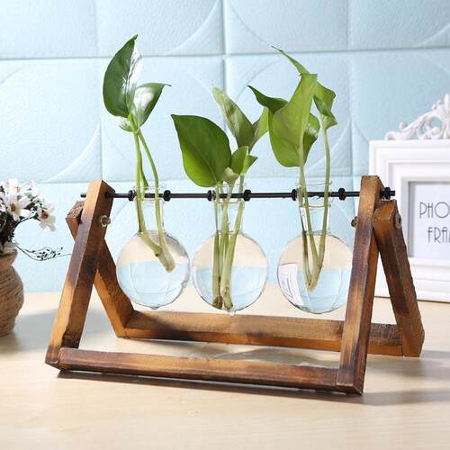 Glass and Wood Vase Planter Terrarium Table Desktop Hydropon
