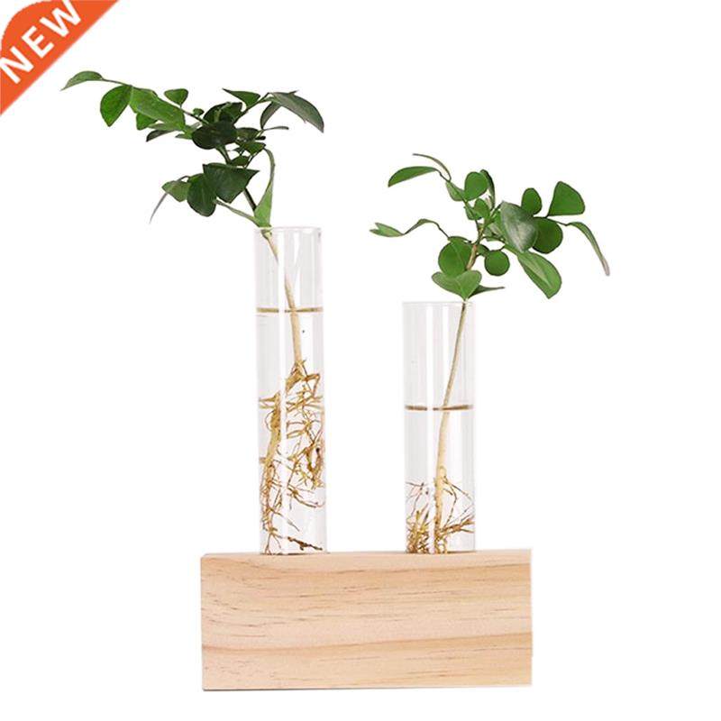 Crystal Glass Test Tube Vase Flowers Plants Hydroponc Plant