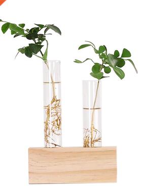 Crystal Glass Test Tube Vase Flowers Plants Hydroponc Plant