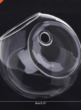 Glass Vase Wall Hanging Hydroponic Terrarium Fish Tanks Pott