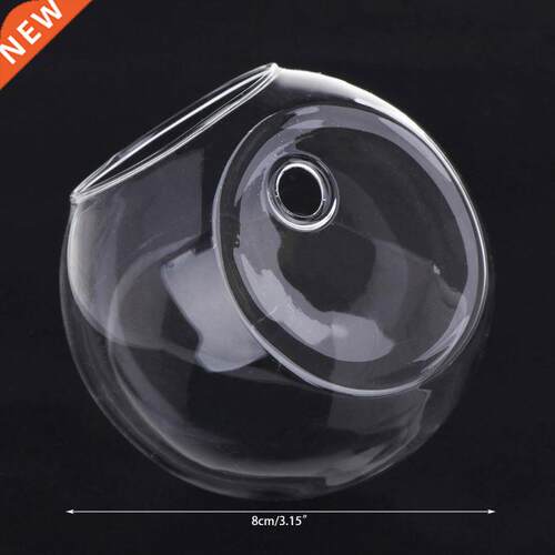 Glass Vase Wall Hanging Hydroponic Terrarium Fish Tanks Pott