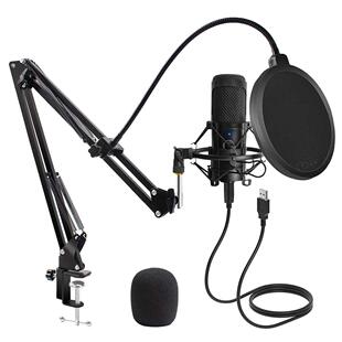 USB Microphone Condenser D80 Recording Microphone with Stand