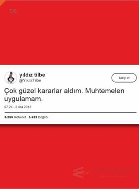 Beautiful Decisions Laptop and Phone Sticker-Decal max.8cm