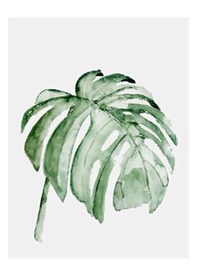 Watercolor Tropical Plant Leaves Minimalist Art Canvas Poste