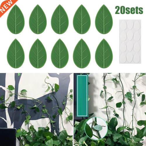 20pcs Invisible Wall Rattan Clamp Clip Invisible Wall Vine C